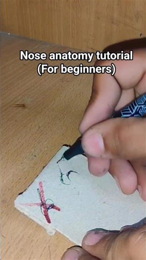 nose anatomy tutorial #art #artclass #artinstruction #drawing #tutorial #sketch #howtodraw #ytshort