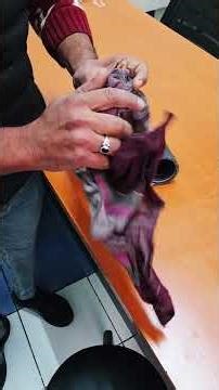 dental compressor repair👍