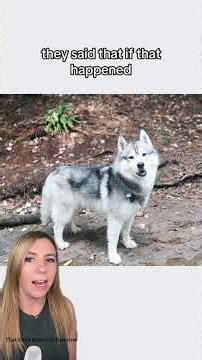 Husky saves ENTIRE neighborhood by digging a hole! #dog #shorts