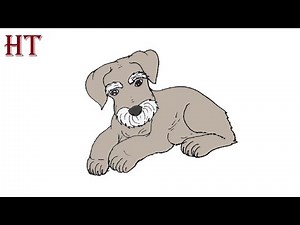 How to draw a Schnauzer || Dog Drawing Easy