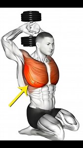 Bodybuilding | Gym | Fitness | The best lower chest workout for maximum growth - Build a bigger, define chest fast with these super effective exercises!🔥 . . . . . . . .... | Instagram