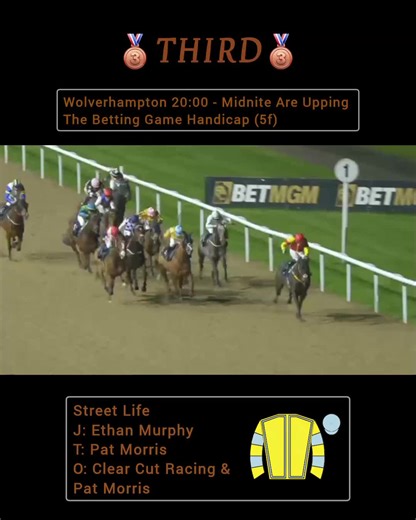 03/11/25 Wolverhampton Racecourse Street Life finishes third for Pat Morris and Clear Cut Racing, ridden by Ethan Tindall. #Racehorse #Horseracing #Jockey #Trainer #equestrian