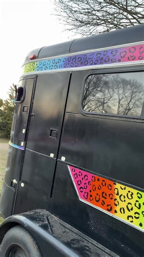 The rainbow cheetah print horse trailer saga continues. I wish I could just sit and finish the paint but I have ✨ ReSpOnSiBiLiTiEs ✨