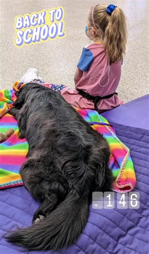 33K views · 3.4K reactions | Back at it - afternoon training. As we...