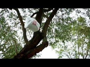 Glad Commercial "Dale, dale, dale" piñata song