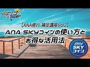 【ANA修行 補足講座Vol2】ANA SKYコインの使い方とお得な活用法