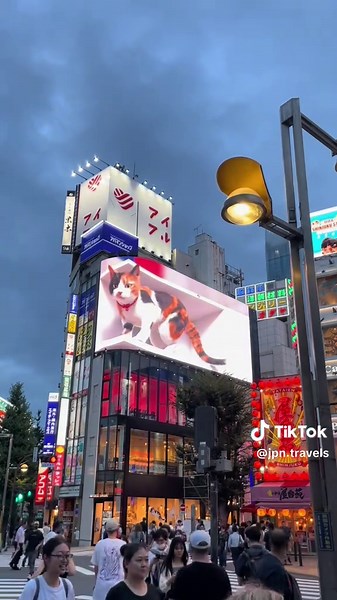 Discover the Best of Japan: Travel Tips and Highlights