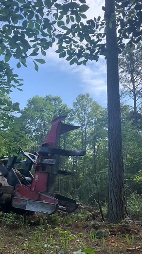 How to pink up Tigercat equipment #logging #tigercat #work #fyp #relatable #canadianlogginghistory #lumberjackheritage #oldloggingcamp #FrontierLife #comedy #tigercat #forestry #life #lifehacks #tips #howto #usa | Jazlyn Smith