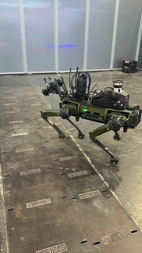 17K views · 143 reactions | Woof woof | Association Soutien Commando | Facebook