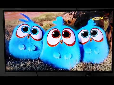 Angry Birds: La Película Créditos, Inició Chicas Pesadas (2004) en Cinemax