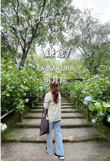 鎌倉の紫陽花寺・明月院へ💙 紫陽花が少しずつ咲き始めていて これから見頃を迎える季節✨ 竹林や緑の景色にも癒されて ゆったり鎌倉時間を過ごせました🍃 かわいいリスにも遭遇🐿️ 例年の見頃は6月中旬ごろなので 混み合う前に行ってみてね💠 女子旅、カップル、夫婦旅におすすめ♡ _______________ 📍神奈川県鎌倉市山ノ内189 北鎌倉駅から徒歩約10分 #明月院 #鎌倉 #紫陽花 #KAMAKURA #北鎌倉