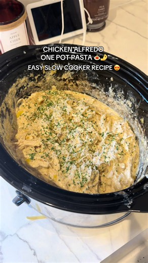 🍝 ONE-POT SLOW COOKER CHICKEN ALFREDO😍🤌 Creamy, comforting chicken Alfredo made in the slow cooker — perfect for an easy family dinner! This recipe served 3 adults and 2 children 🤍 INGREDIENTS 🛒 • 500g chicken breasts • 1 tsp black pepper • 1 tsp garlic powder • 1 tsp onion powder • 1 tsp dried basil • 1 tsp dried oregano • ½ tsp paprika • 57g butter (4 tbsp) • 6 cloves garlic, minced (I used lazy garlic about 3 tsp) • 1 whole leek, sliced • 300ml single cream • 240ml whole milk • 240ml chi