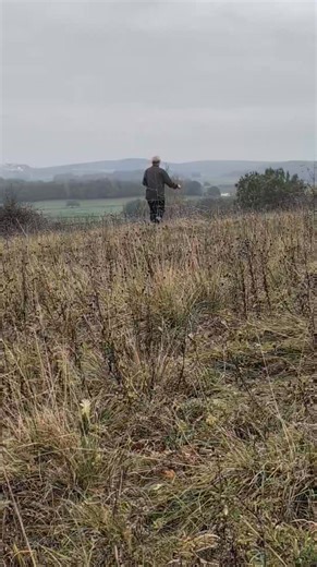 This trail had a scent pool along the way. The trail had been aged about 43 mins and the scent pool was on sloping terrain. Brannon worked it so well and you can see from the trace that he picks up on the fresher scent on the approach then checks and dismisses the older scent before returning to the fresher scent. As always the handler had no idea how the trail had been laid. #GAK9 #sporttrailing #mantrailing #gak9_sportrailing #selfdiscovery #honesttrailing #dogsports #dogsportslife | Sport Tra