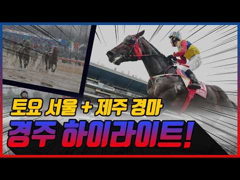 [Saturday Racing] Saturday, March 7, 2026 Race Highlights #HorseRacing #KoreaRacingAssociation #H...