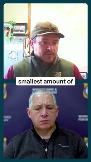 The Unseen Heroes of Wildlife Crimes