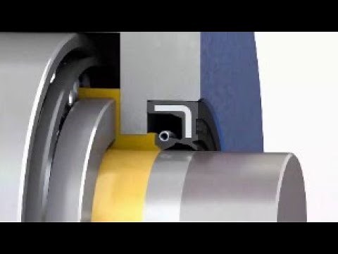 how oil seal works ( animation )