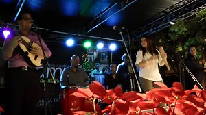 "Cantares de navidad" es el primero de 40 videos navideños que publicaremos casi uno por día en su página de Conociendo a Puerto Rico. Con la publicación de este video hacemos nuestro encendido navideño. La colección única de nuestros videos incluyen asaltos de navidad, parrandas, octavitas; promesas de reyes en casas, plazas, campos, a pie y a caballo, los reyes de Juana Díaz, Isabela, Camuy y Mayagüez; trovadores y los grupos musicales de La Tuna de Cayey, Antonio Cabán Vale, Los Cantores de P