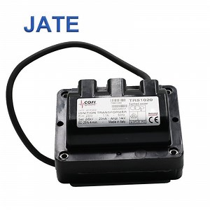 [Hot Item] Cofi Trs1020 2*5kv 20mA Adjust Control Burner Ignition Transformer High Voltage Transformer Indirect Ignition