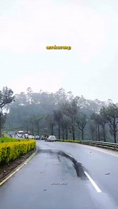 17K views · 2.7K reactions | Climate is chill略❤️ #valparai #valparai7thheaven #valparaidiaries #climate #chill #forest #wildlifephotography #animals #tourist #touristattraction #kadhal #bachelors #travelling #traveladdicted #tour #nature #naturelover #hills #coimbatore #coimbatoretourism #tamilnadutourism #indiatourism #biketrip #familytrip #boystrip #girlstrip #officetrip #likeme #algorithm #viralvideos | Valparaiarticles | Facebook