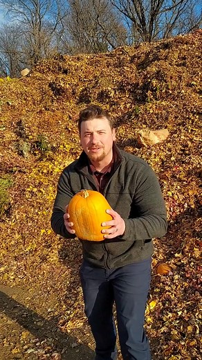 We've noticed some residents leaving pumpkins along the outer edges of the Compost Site, https://bit.ly/3Nuqkzw, seemingly hesitant to mix them in with their leaves. Go ahead and launch those rascals directly into the large leaf pile! | Olmsted County Environmental Resources