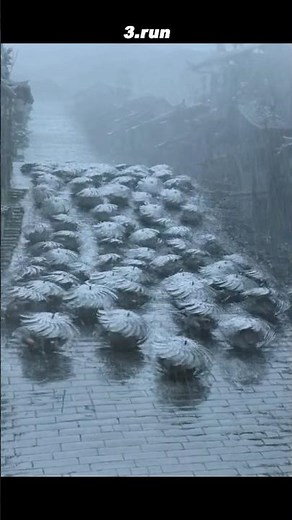 🎬 "Human Beyblades of Death!" — The Umbrella Army's Insane Charge in Shadow (2018) 🌧️☂️💀