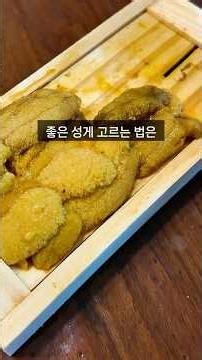 제철 국산 성게알! 좋은 성게 고르는 법과 같이 먹으면 좋은 음식 #우니
