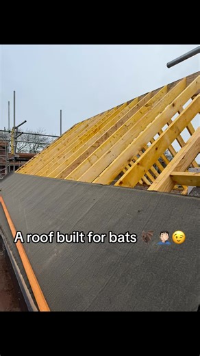 Building a Bat-Friendly Roof Extension