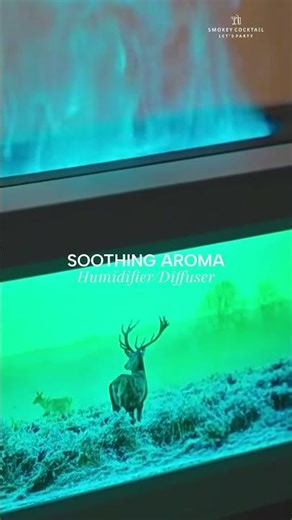 Soothing Aroma Humidifier/Diffuser
