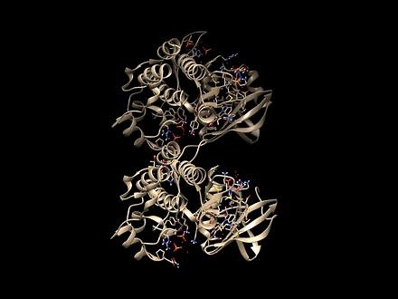 利用Chimera制作高质量蛋白结构动画 UCSF Chimera是一款功能强大的分子建模与可视化工具，它支持蛋白质、核酸等大分子结构的三维展示与分析，提供多种高级功能，如分子对接、结构比对和动态模拟。本文将介绍如何利用UCSF Chimera制作高质量的蛋白结构动画，以直观地展示复杂的分子构成和结合模式。#科研 #动画制作 #生物 #Chimera #生物帮SA