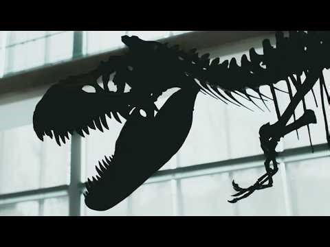 New Dinosaur Species in South Korea: Meet Doolysaurus huhmini
