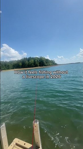 How it feels to not fish with a livescope 😭 #fishing #bassfishing