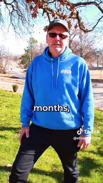 How to Fix Brown Patch in Your Lawn