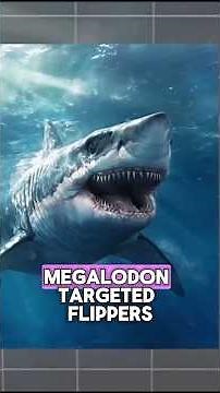 The Truth About Megalodon Attacks!