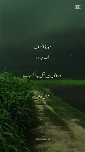 Quran Tilawat Beautiful Voice | Quran Recitation With Urdu Translation | Islamic Video #islamicvideo