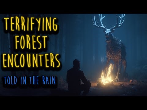 TERRIFYING FOREST STORIES THAT WILL GIVE YOU CHILLS | Scary Forest Horror Stories Told in the Rain