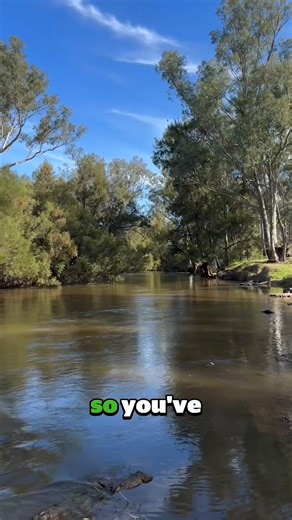 4.6K views · 56 reactions | Riparian zones - the lush areas alongside...