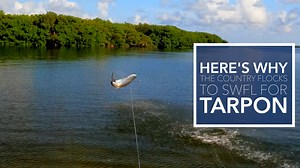 50K views · 244 reactions | This is why the country flocks to SWFL...