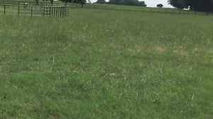 Tell me red didn't produce this! 󾌵 | FLY the RED EYE