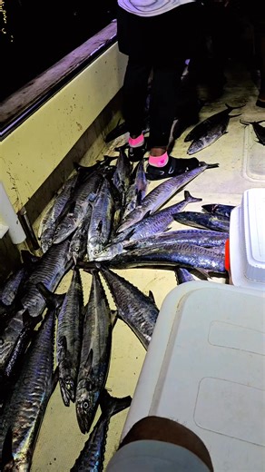 33K views · 41 reactions | Mohammad Arif on Reels | Facebook