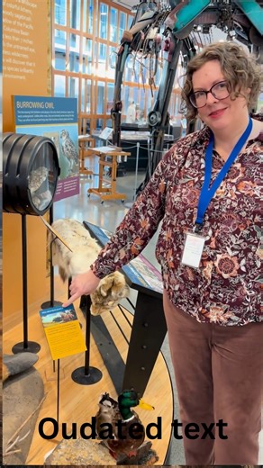 Our natural history exhibits have problems! We are announcing the "Join the Herd" fundraiser to help update them. Purchase a paper mammoth to help support our exhibit fund! | Moses Lake Museum & Art Center