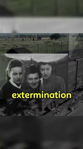 Odilo Globocnik — The Architect of Extermination #history #teaching #education #educational #ww2