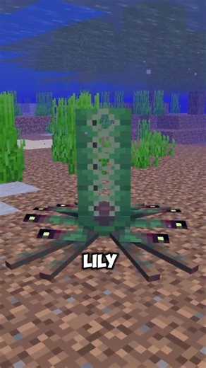 This Is NOT A Lilypad