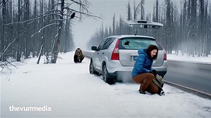 Bear attack on girl but unfortunately she is save must damage of car #WildlifeReels #wildlife 🐻🚨💥🌳 | Wildlife Wonders