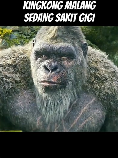 #filmclips #alurcerita #alurceritafilm