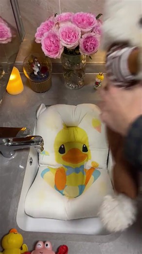 little dog bubble bath 🚿🚿#fyp #dog #amsr #cute #spa