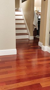 Always taking time to work on what she has learned and incorporate new things. Working on "watch me" right now. | Rubydoobydo