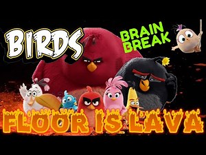 BIRDS: FLOOR IS LAVA BRAIN BREAK! EXERCISE BREAK. Just Dance for Fun, Movement Activity.
