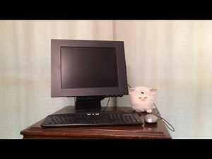 IBM NetVista All-In-One PC from year 2000 (found in 2014)