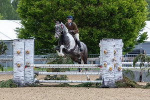 What is a social licence to operate? - World Horse Welfare