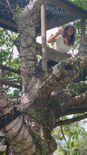 Unique Tree House #trending #satisfying #treehouse #viralshort #amazing #amazingview